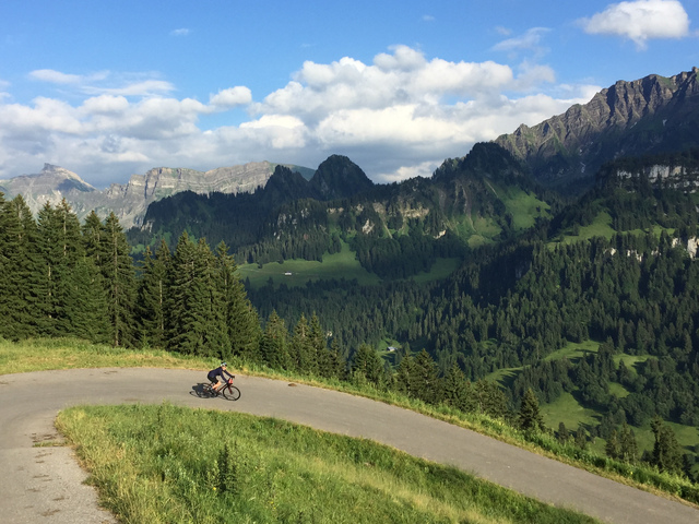 Singletrails bregenzerwald Mountainbiketouren - Hotel Bären Mellau